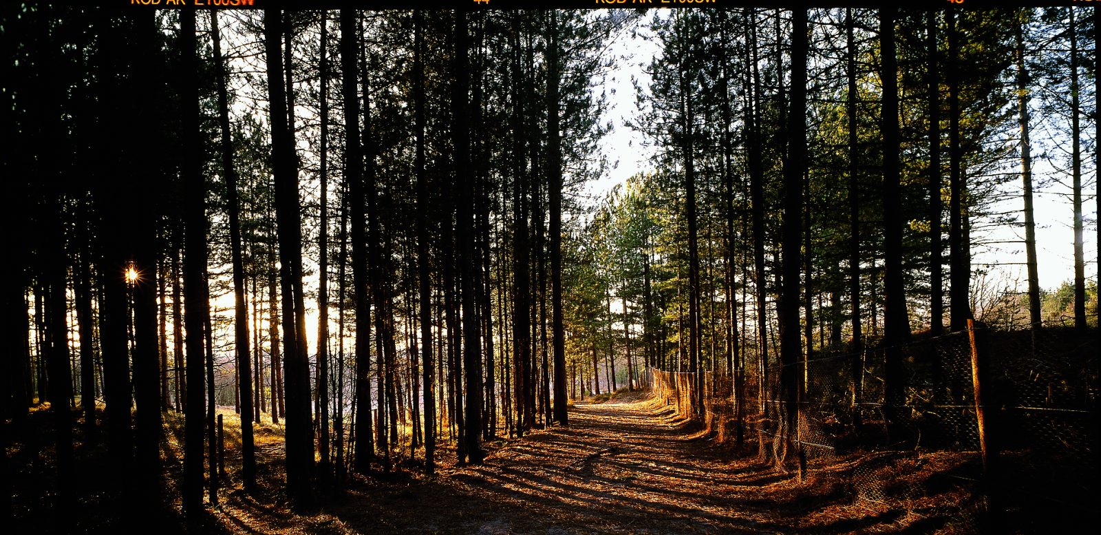 Les circuits en forêt de Crécy