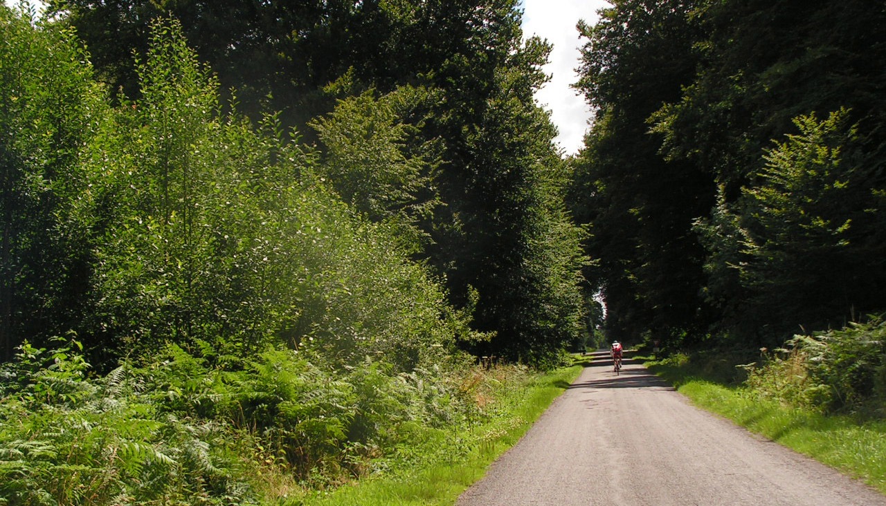 Circuit du Geai