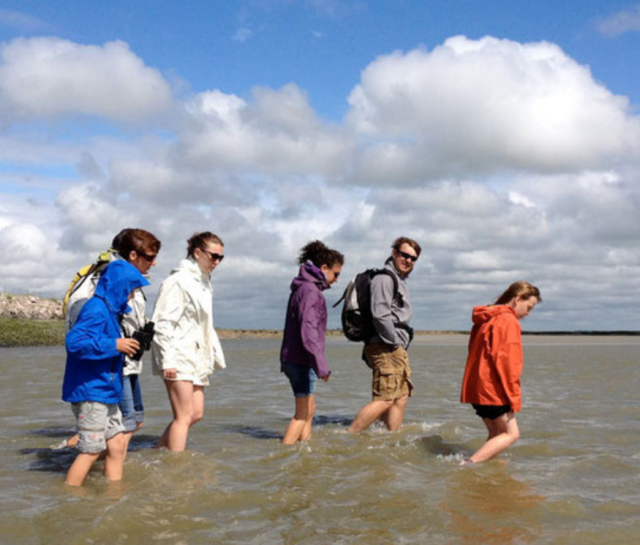 Traversées de la Baie groupe